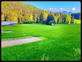 Hiška pri Vrjaku Bohinjska Bistrica